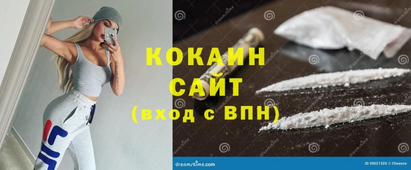 твердый Богородицк