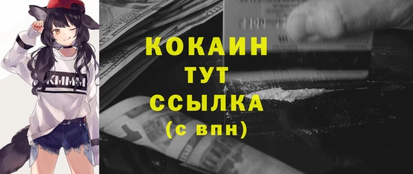 твердый Богородицк