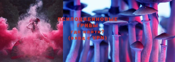 твердый Богородицк