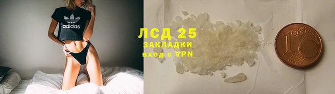 стаф Богородск
