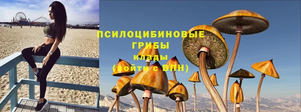 MESCALINE Белокуриха