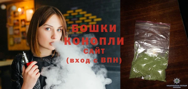 стаф Богородск